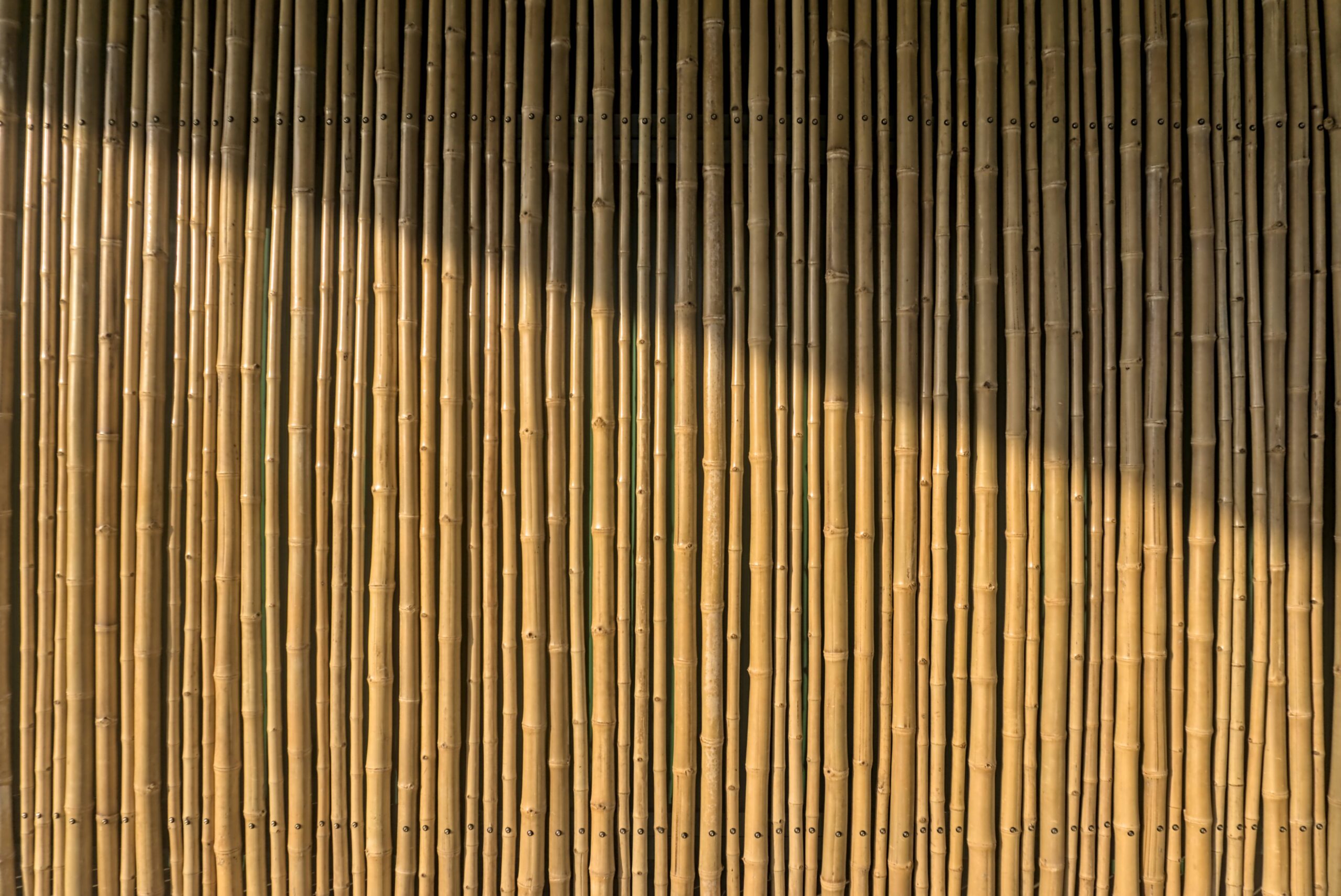 The photo of bamboo wall made of vertical poles